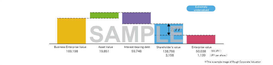 Sample of A rough assessment of the company's value